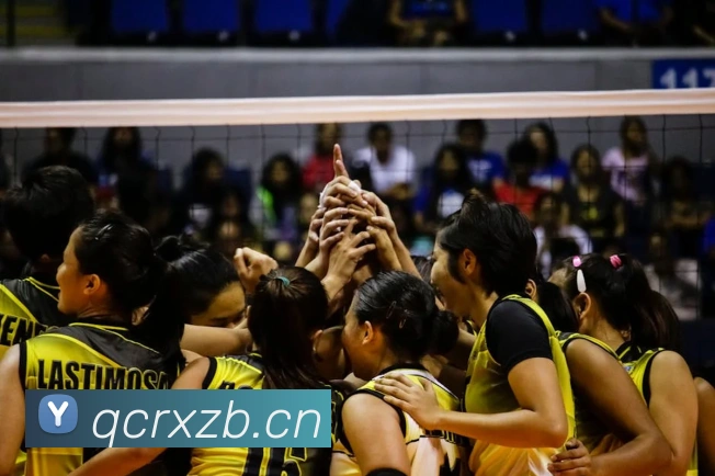 bsprot体育官网登录APP 封面图